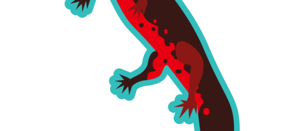 イモリのイラスト